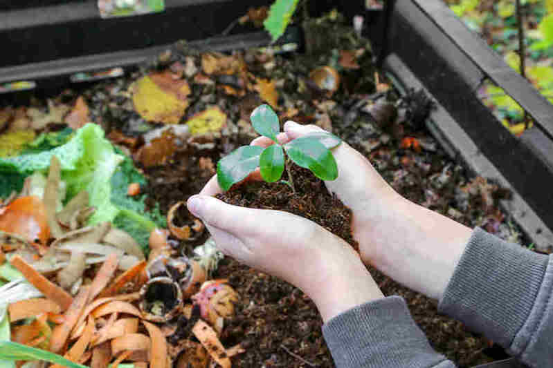 Kitchen Composting: A Complete Beginner's Guide - Compost Magazine