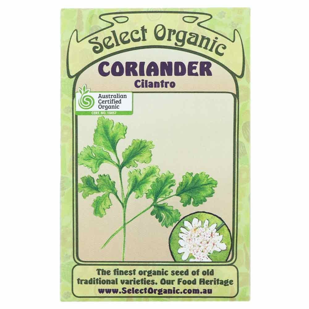 Select Organic Seeds Cilantro Coriander