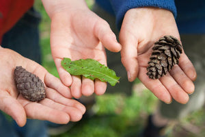 Our Favourite Things to Inspire a Love of Nature in Children