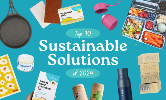 Our Top 10 Sustainable Solutions of 2024