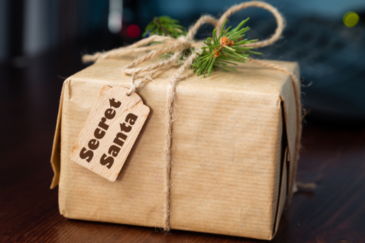 Eco Friendly Secret Santa Gifts under $20 Everyone will Love!