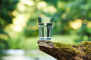 The Best Water Filter System for your Home or Office