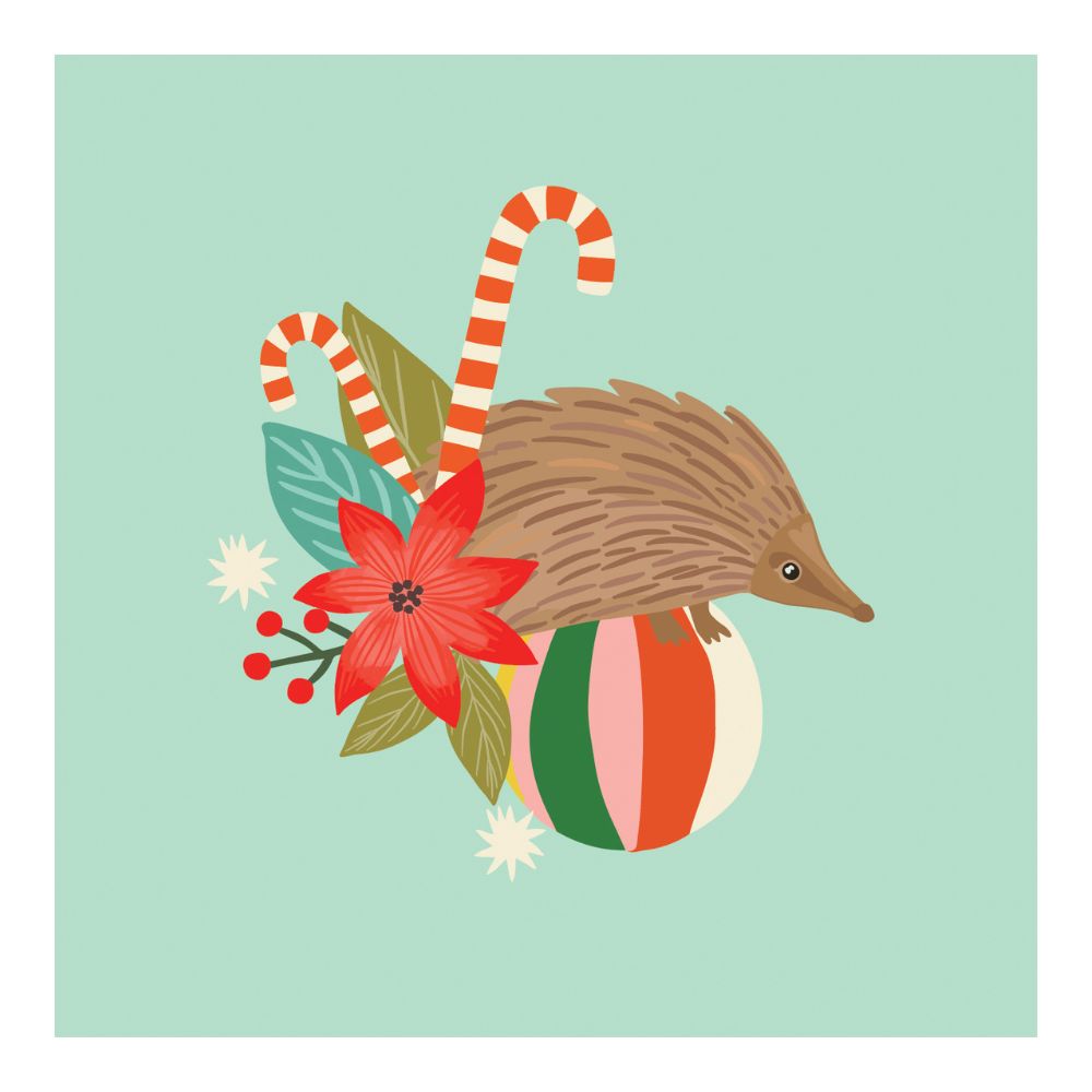 Aero Small Christmas Card - Echidna