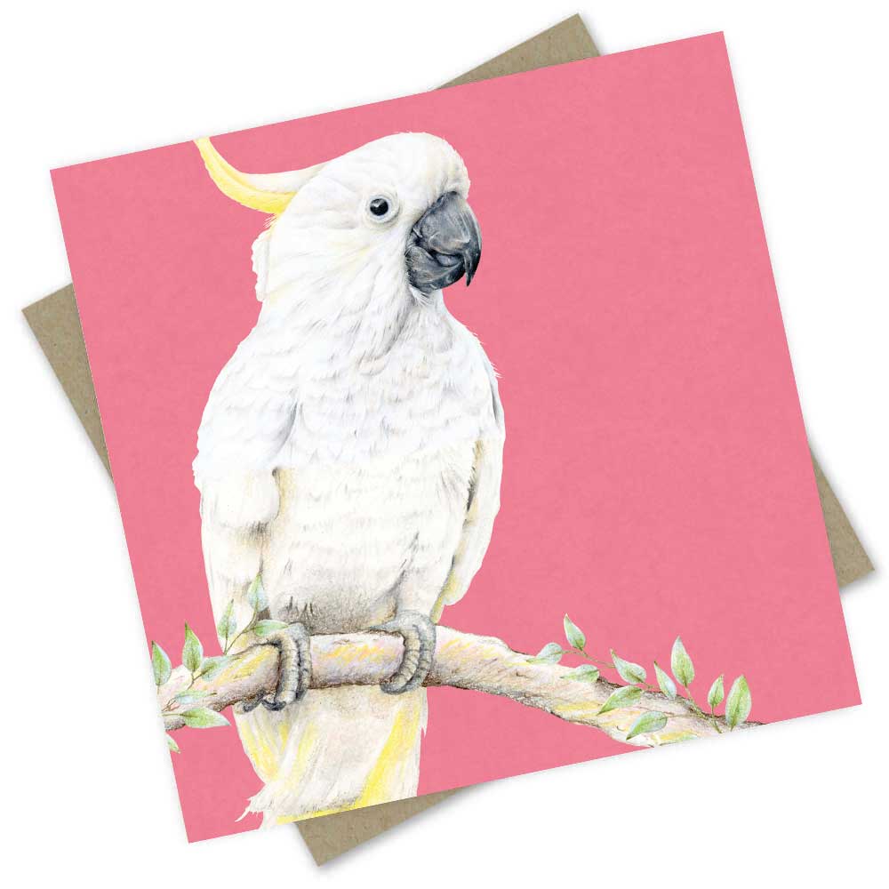 Popcorn Blue Cockatoo Pink Greeting Card