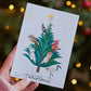 Native Seed Box Plantable Seed Christmas Card - Native Birds (Swan River Daisy)