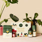 We The Wild - Have a Leafy Christmas Houseplant Essentials Kit