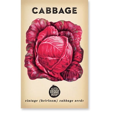 Little Veggie Patch Heirloom seeds - cabbage 'savoy purple'