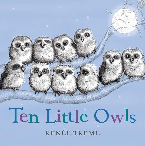 Ten Little Owls Board Book